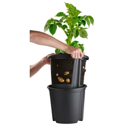 Praktisk kartoffelkrukke i PP-plast - �30 x H26 cm