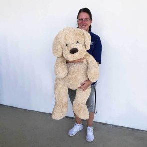 Kmpe hund bld. 100 cm hj. KMPE STOR HUND FRA DACORE - PERFEKT TIL BRNEVRELSET!!