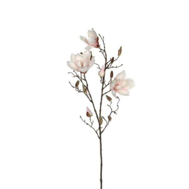 Minimalistisk magnolia gren i hvid 88 cm lang.