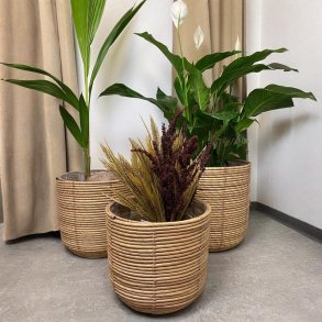 Kurvest med tre kurve - Vlg mellem hele sttet eller enhver individuel kurv!!