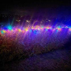 LED lavenergi lyskde der blinker i takt med musikken med batteriboks - Vlge lys farve