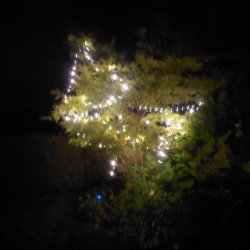 LED lavenergi lyskde med adapter IP44 til inde- og udendrs brug - Vlg strrelse