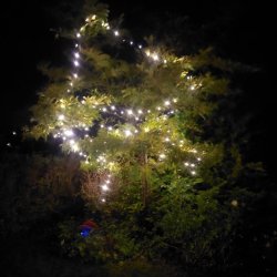 LED lavenergi lyskde med adapter IP44 til inde- og udendrs brug - Vlg strrelse