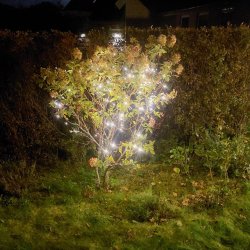 LED lavenergi lyskde med batteriboks til indendrs og udendrs brug - Vlg strrelse