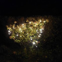 Lavenergi lysnet LED - 160 LED lys og 200cmx150cm. stort. Perfekt til juletiden