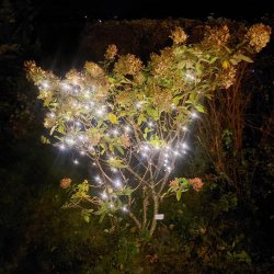 LED lavenergi lyskde med batteriboks til indendrs og udendrs brug - Vlg strrelse