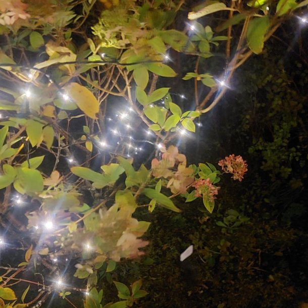 LED lavenergi lysk�de med batteriboks til indend�rs og udend�rs brug - V�lg st�rrelse