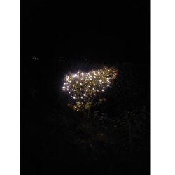 Lavenergi LED lysnet - perfekt som lys i haven eller p juletret - Vlg strrelse