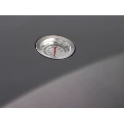 DAN GRILL 2-Br�nder Gasgrill med Sidehylder og St�bejernsrist