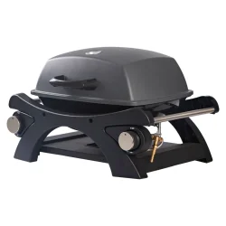 DAN GRILL 2-Br�nder Gasgrill med Sidehylder og St�bejernsrist