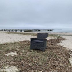 Boston havestol i UV-beskyttet polyrattan med gold teak armln - vlg stolens farve