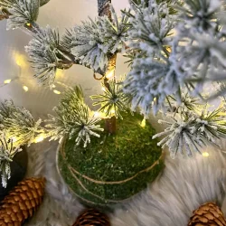 Cedertr� med LED lavenergi LED lys til indend�rs brug - V�lg st�rrelse