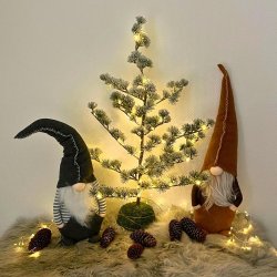 Cedertr� med LED lavenergi LED lys til indend�rs brug - V�lg st�rrelse