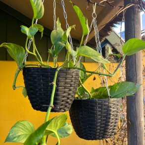 Alsidig og dekorativ hngende urtepotte