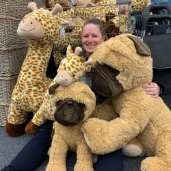 Kmpe bulldog bamse i brune nuancer - vlg strrelse