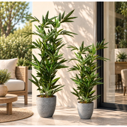 Bambusplante - Plast - GR�NT TOUCH TIL DIT HJEM!! - V�lg St�rrelse