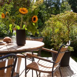 Eva Magnolia Stapelstol - Vlj frg p ramen: vit eller. antracit