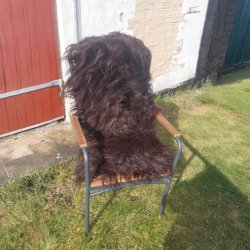 Lammeskind Island - langhret - Vlg mellem Naturbrun eller Himalaya 