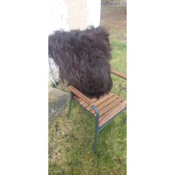 Lammeskind Island - langhret - Vlg mellem Naturbrun eller Himalaya 