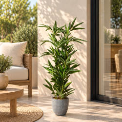 Bambusplante - Plast - GR�NT TOUCH TIL DIT HJEM!! - V�lg St�rrelse