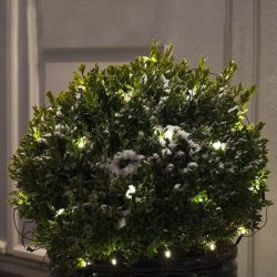 Lavenergi LED lysnet - perfekt som lys i haven eller p juletret - Vlg strrelse