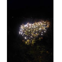 Lavenergi LED lysnet - perfekt som lys i haven eller p juletret - Vlg strrelse