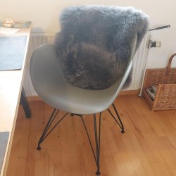 Moderne spisestuestol i sort stel - gr sde kombi. Model: Cassia