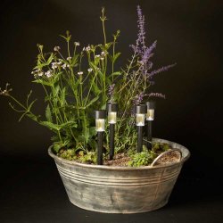 Solcelle lampe 31,5 cm - st med 4 stk.