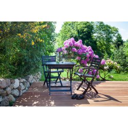 Cafset i svartmlad mahogny med fllbord + 2 fllbara stolar med armstd - Modell: York