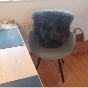 Chloe matstol i Underhllsfrimgr/svart kombi - Modern